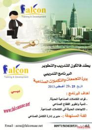 إدارة التجمعات والتكاملات الصناعية