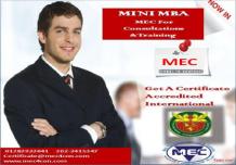 mini MBA
